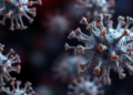 Norrin complex structure guides potent engineered signaling surrogates