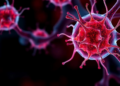 Prostate cancer stem-cell targeting reviewed for therapy resistance