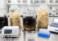 Lab study: Sawdust biochar raises chicken-manure biogas while reducing resistance genes
