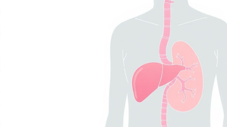 TyHGB index linked to high cardiovascular risk in adults with fatty liver disease