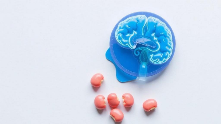 Incident Diabetes Linked to More Hospitalisations and Death in Multiple Sclerosis