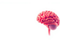 Systematic assessment finds confounding gap in multiple sclerosis trial emulations
