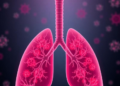 Blood B Cell Scars: Single-Cell Study Links Antibody Cell Chaos to Post-COVID Lung Fibrosis