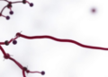 NIH grant funds research linking metabolism and glycosylation in rare diseases