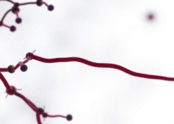 NIH grant funds research linking metabolism and glycosylation in rare diseases