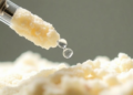Ultrasound accelerates sesamol grafting onto whey protein isolates