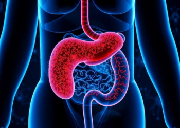 Research report: Targeting the gut-liver axis: New review explores microbial modulation to enhance immunotherapy in hepatocellular carcinoma