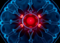 Aging Disc Failure Links Cellular Stress, Instability and Pain