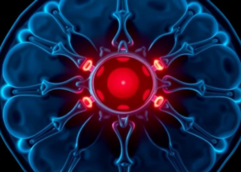 Aging Disc Failure Links Cellular Stress, Instability and Pain
