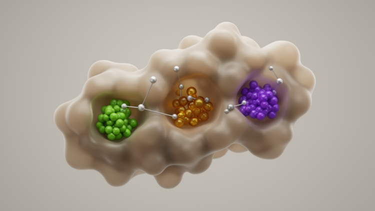 Three Guduchyadi phytochemicals remain bound in MCI-related protein simulations