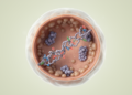 Unstressed yeast study links Zuo1 surveillance to predicted protein disorder