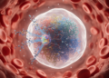 AML epigenetic therapies face network-driven resistance, review finds