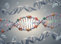Mutation bias and gene conversion shape sequences near human transcription start sites
