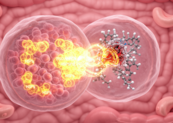Research report: Progress in the Mechanism of Heat Shock Proteins in Gastric Cancer: From Biomarkers to Therapeutic Targets