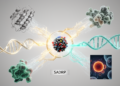 SADRP: A structurally aware multi-modal framework for drug response prediction