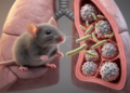 Tuberculosis bacterium resists innate immune clearance in mouse models