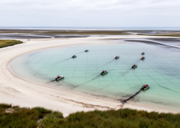 Free-grid sediment budget traces sand starvation across Pierpont Bay