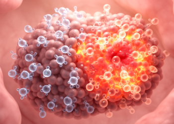 Immune and proliferative programs distinguish anti-PD-1-responsive endometrial cancer