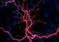 Rising GFAP After Thrombolysis Flags Early Stroke Deterioration