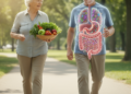 Gut microbiome changes after lifestyle intervention in older adults at dementia risk