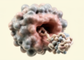 Hantavirus spike structure reveals recessed protocadherin-1 binding pocket