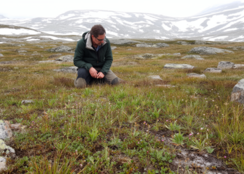 Colder Alpine Grasslands Show Less Integrated Plant Trait Networks