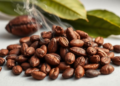 Overfermented cocoa beans can smell smoky without any smoke at all