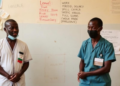 Sierra Leone suspected typhoid notifications exceed regional blood-culture benchmark