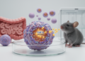 Cell and mouse study links RNF14 palmitoylation to colorectal cancer progression