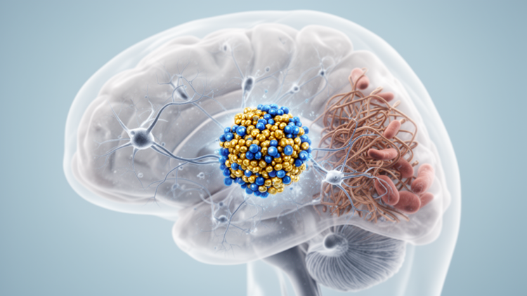 Excess ASNS links neuronal stress to Angelman syndrome features in mice