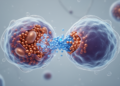Ceruloplasmin regulates cuproptosis-related changes in resistant prostate cancer cells