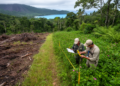 Two-year subtropical island survey links habitat and disturbance to invasive plants
