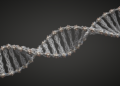 An atlas reveals the hidden "physical code" in the DNA sequence