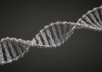 An atlas reveals the hidden "physical code" in the DNA sequence