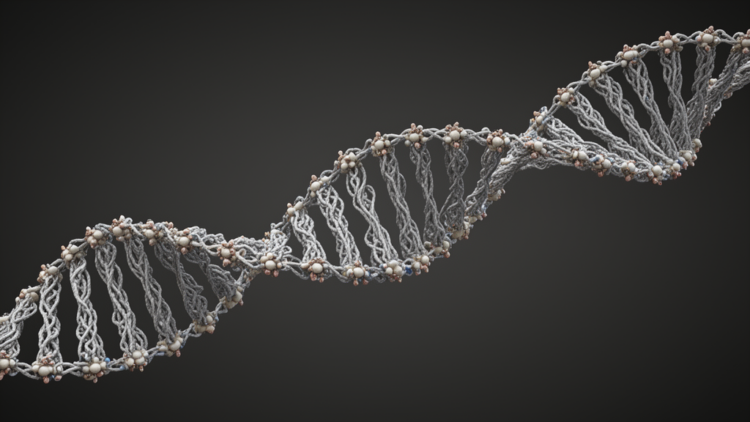 An atlas reveals the hidden "physical code" in the DNA sequence