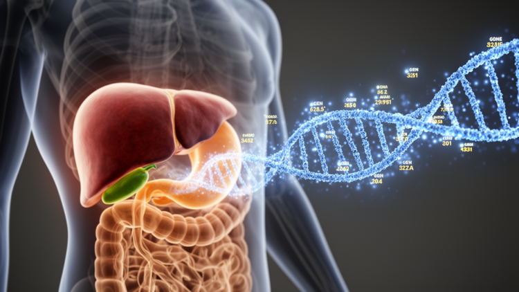 Trans-ancestry meta-analysis identifies 116 gallstone disease risk loci