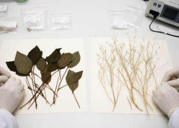 Polish herbarium comparison finds contrasting wetland and dryland isotope shifts