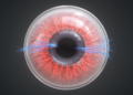 Intrastromal AAV genetically labels corneal sensory neurons in mouse study