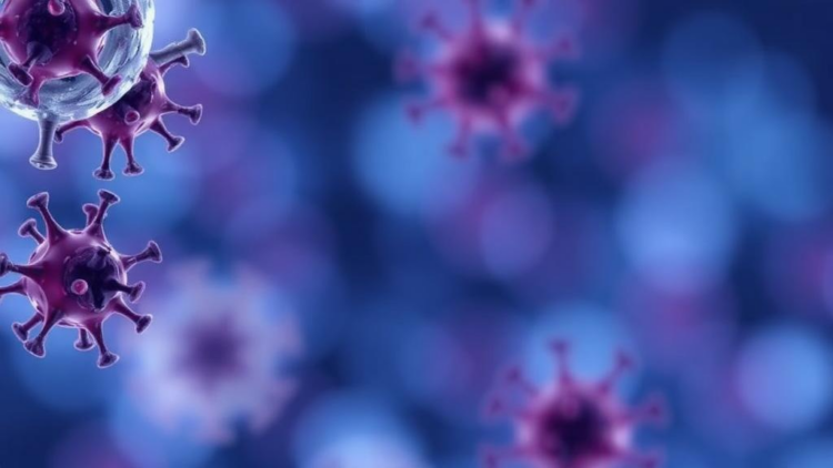 FAERS study finds skin-cancer reporting signals for select interleukin inhibitors