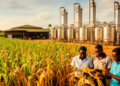 Systematic review maps Ghana’s bioethanol gap and regional lessons