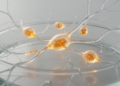 Engineered peroxisomes meet patient-derived iPSC models for CNS research