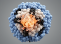 AI-guided design yields high-affinity nucleosome acidic-patch binders