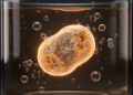 Pure-culture study links fatty-acid breakdown to methane in one archaeon