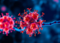 Hormone-Driven Tumors Show Stronger Apelin Staining, First Study of Its Kind Finds