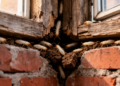 Urban Habitat Mosaics Structure Invasive Termite Gene Flow Without Genetic Erosion