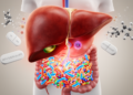 Research report: Modulation of anti-tuberculosis drug-induced liver injury by gut microbiota metabolites: Insights from network pharmacology