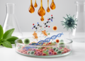 Ayurvedic phytochemicals offer a multi-target route against antimicrobial resistance
