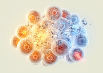 Review proposes network-level GPCR control against multiple aging processes