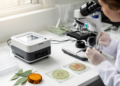 RNA sequencing links radial fiber traits to gene activity in two eucalypts