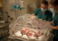 Bundles linked with lower neonatal ventilator-associated pneumonia